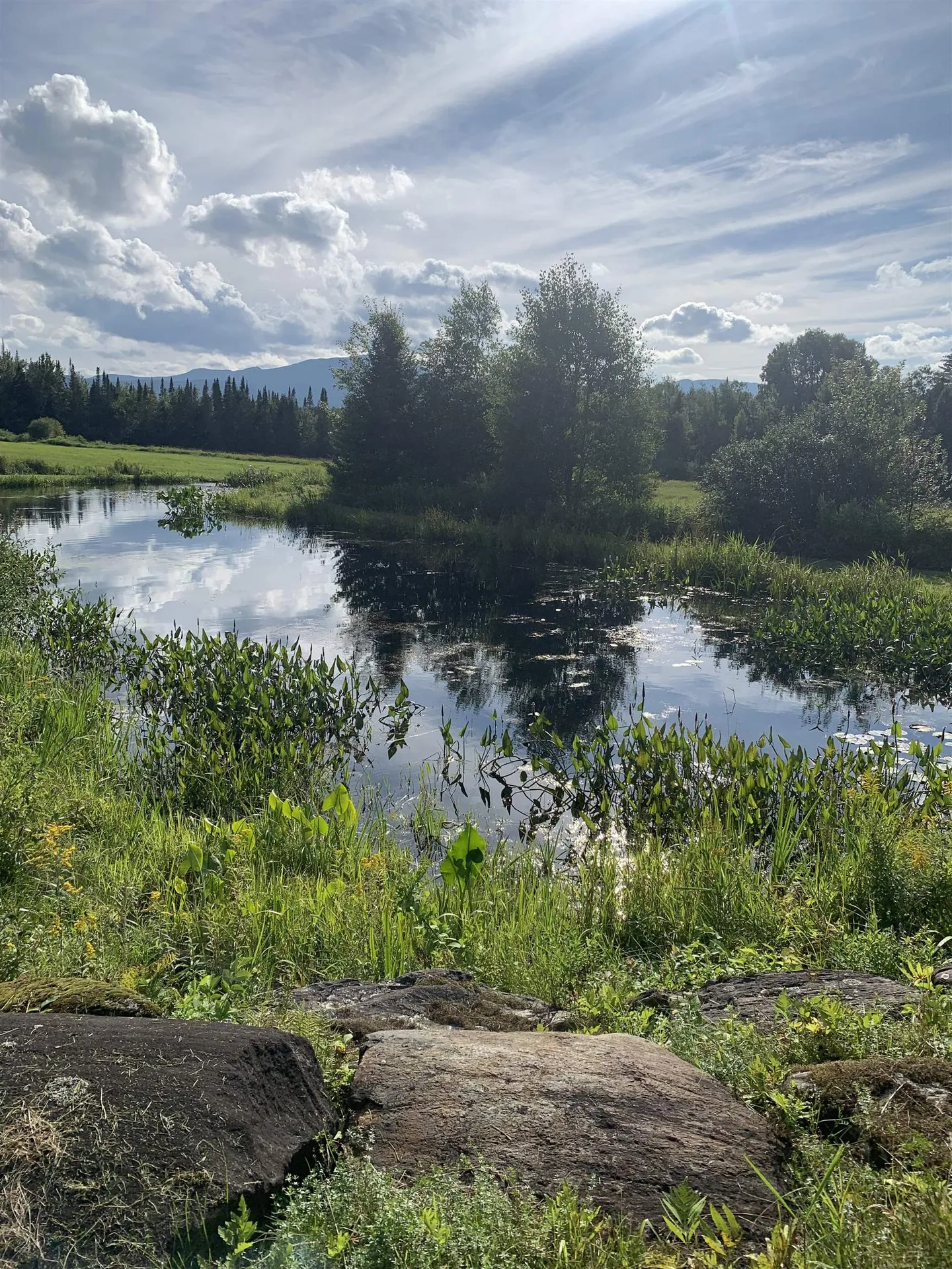 475 Webster Road Hyde Park VT 05655