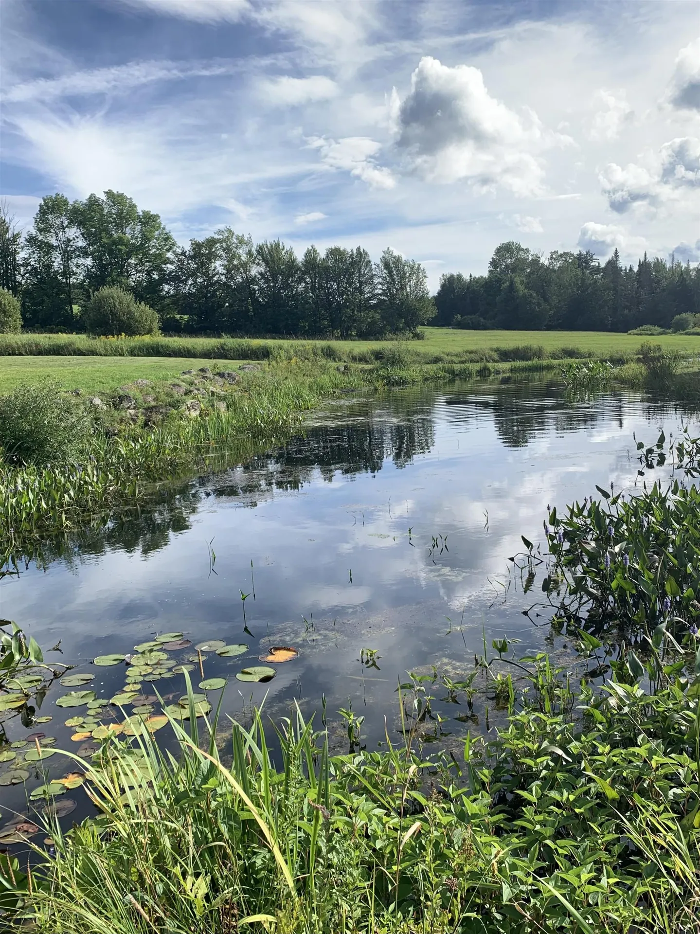 475 Webster Road Hyde Park VT 05655