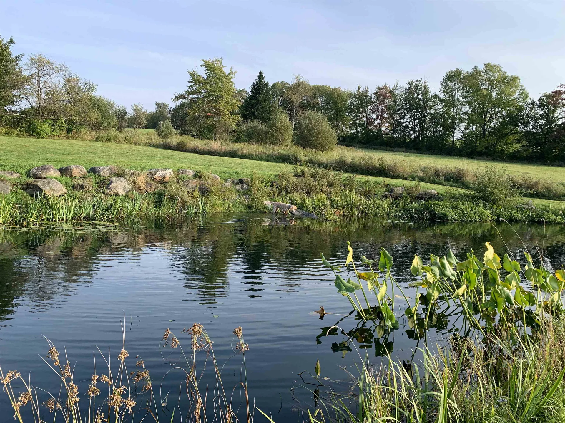 475 Webster Road Hyde Park VT 05655