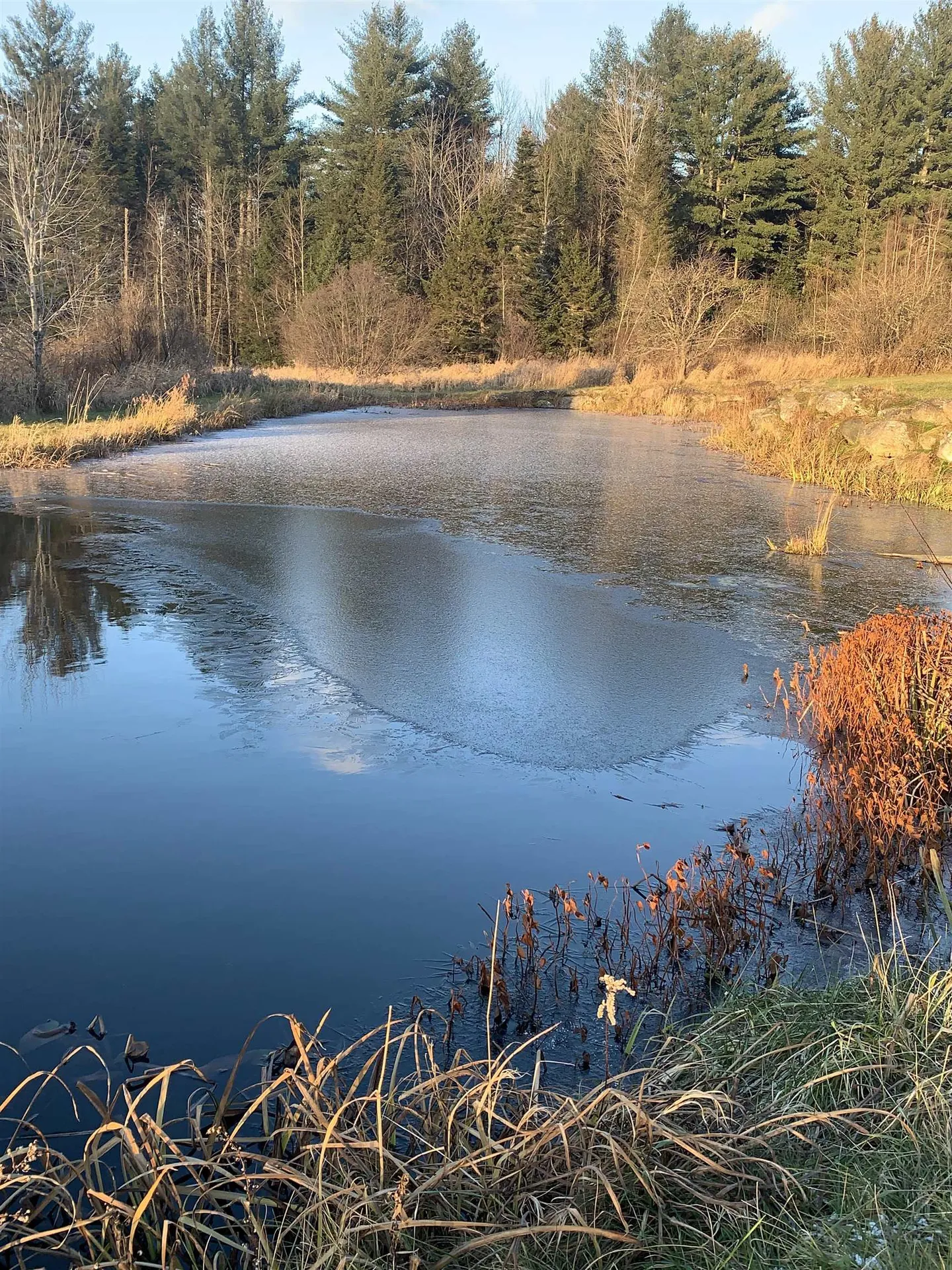 475 Webster Road Hyde Park VT 05655