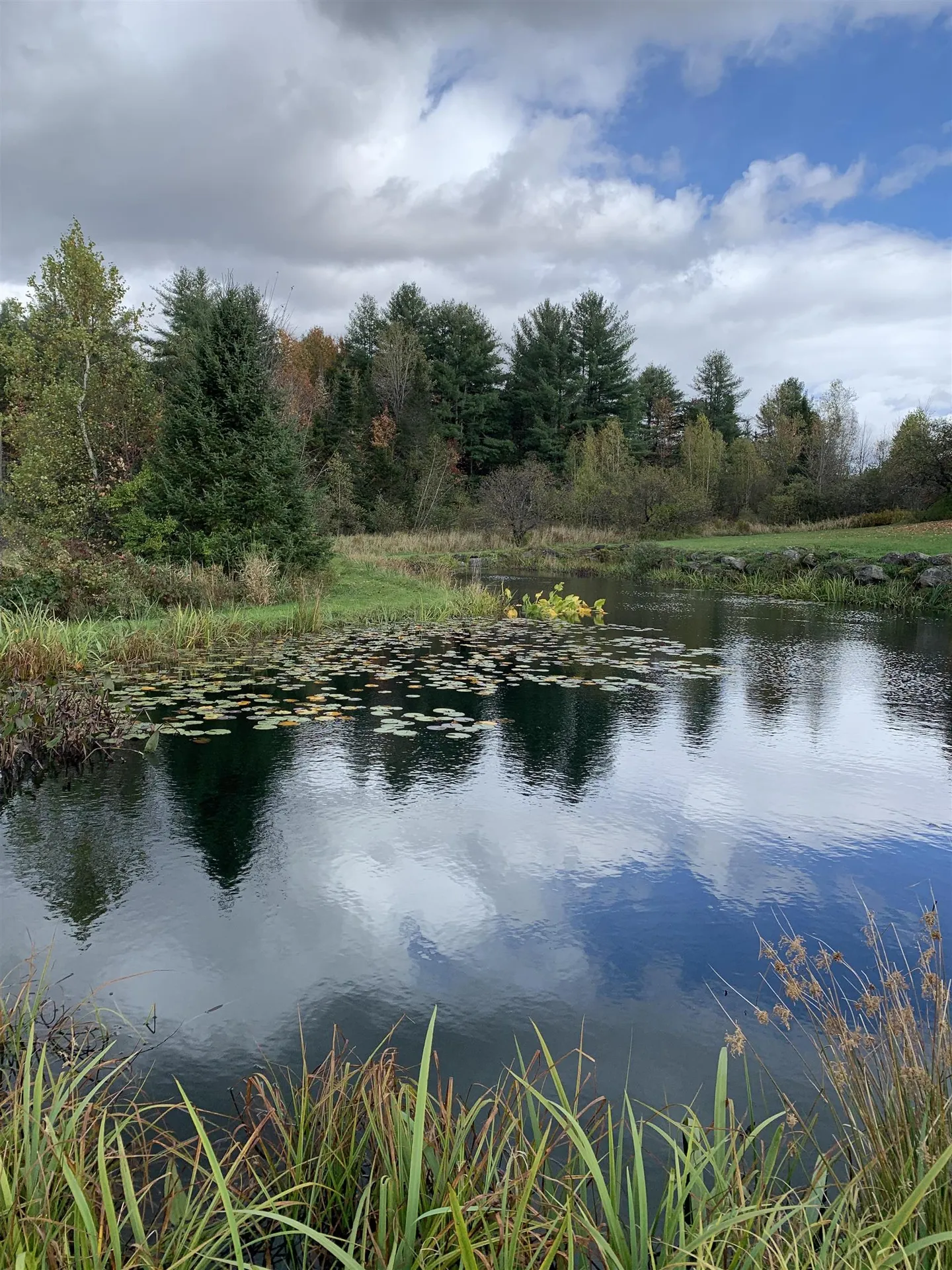 475 Webster Road Hyde Park VT 05655