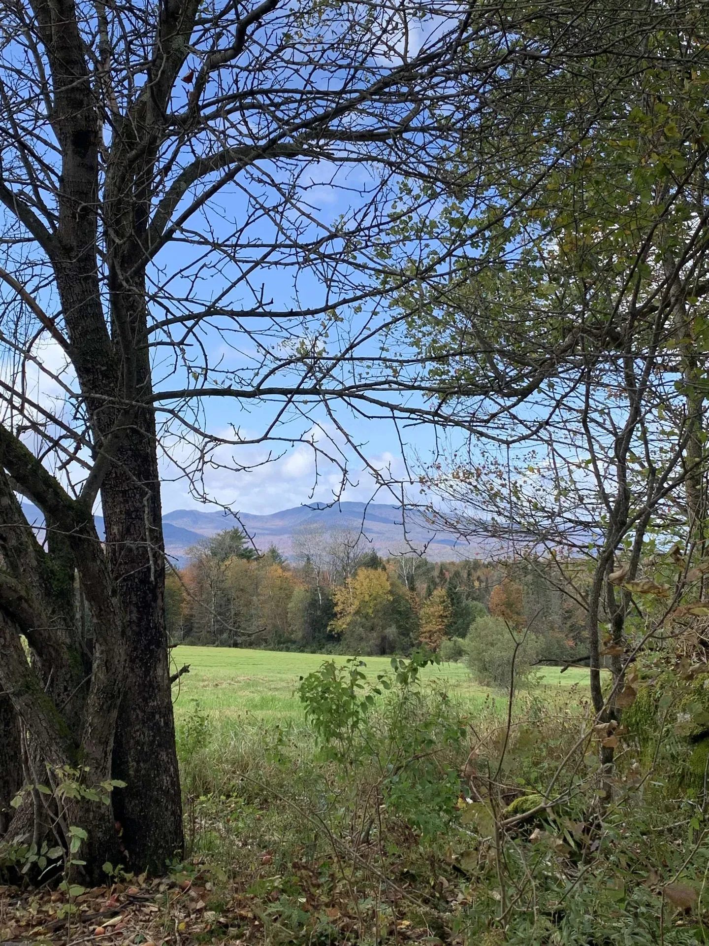 475 Webster Road Hyde Park VT 05655