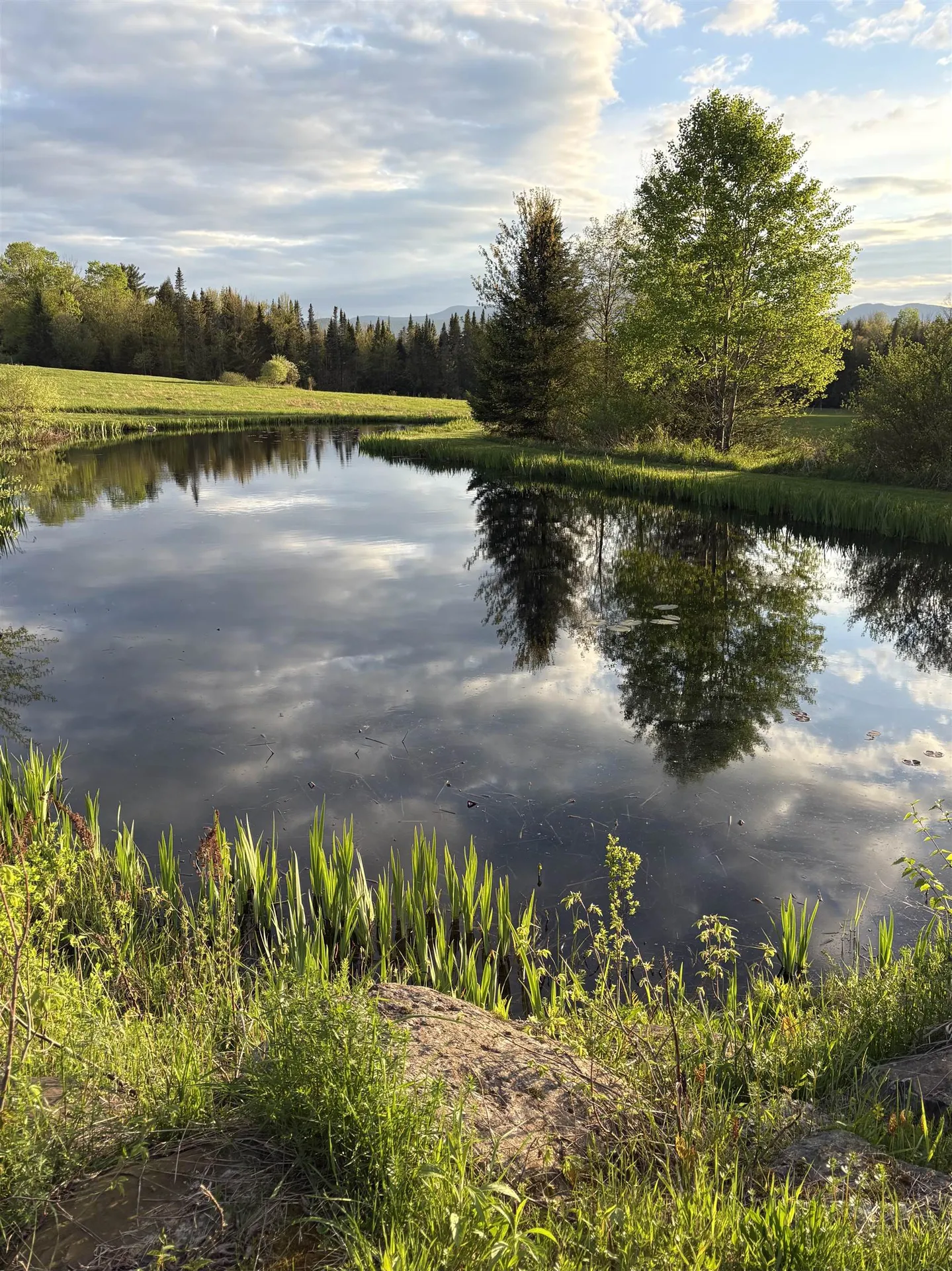 475 Webster Road Hyde Park VT 05655