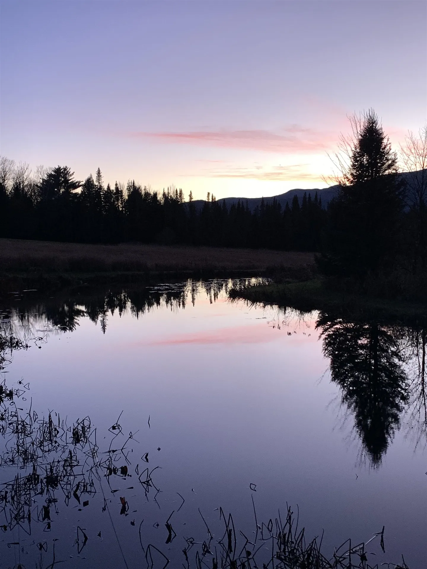 475 Webster Road Hyde Park VT 05655