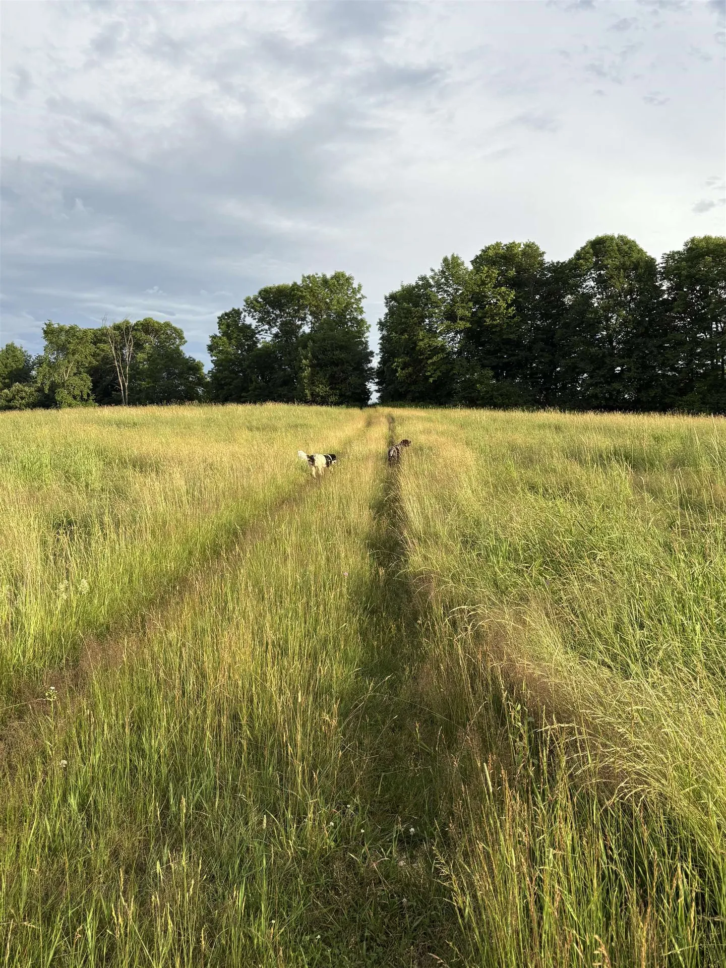 475 Webster Road Hyde Park VT 05655