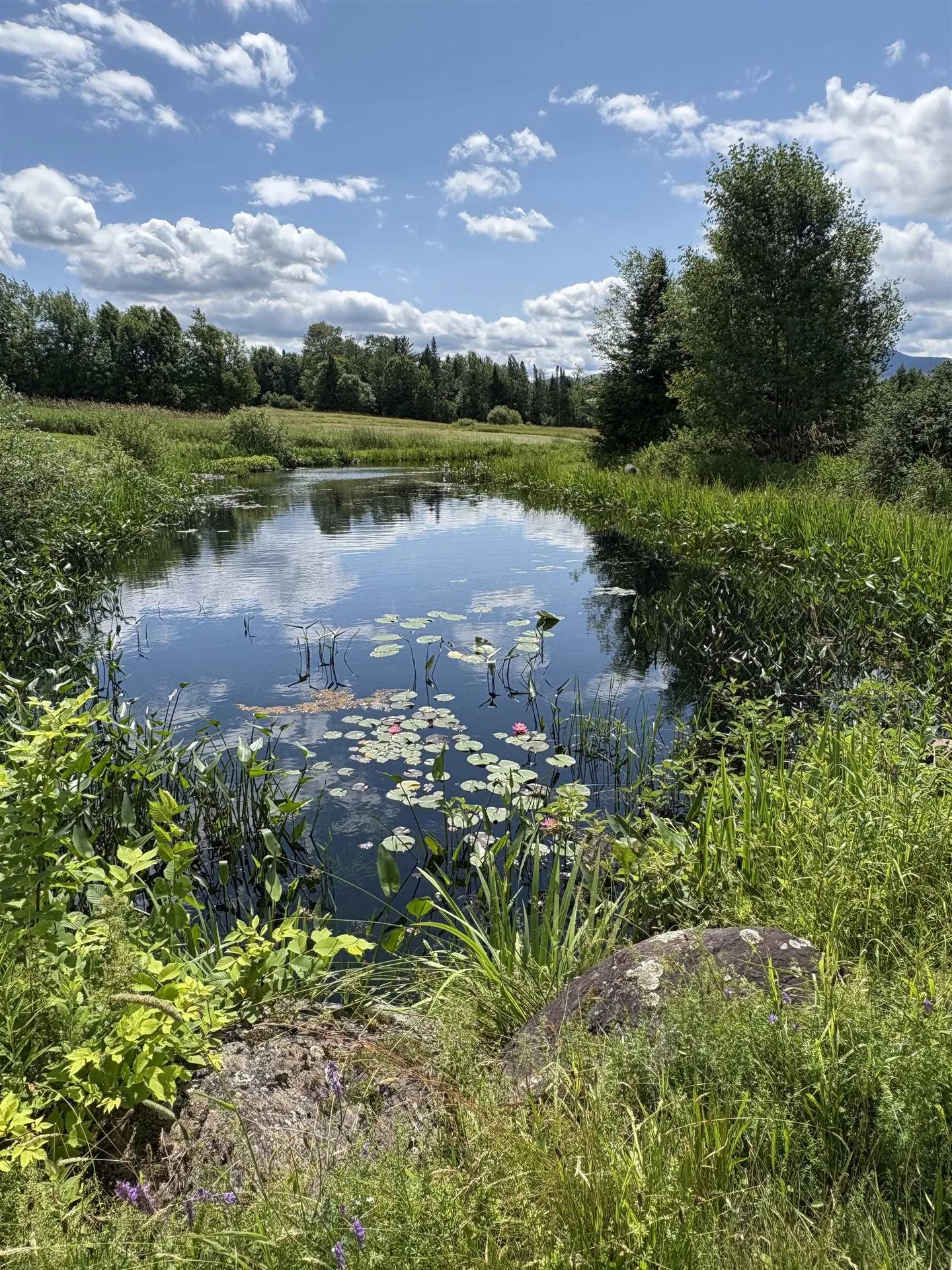 475 Webster Road Hyde Park VT 05655