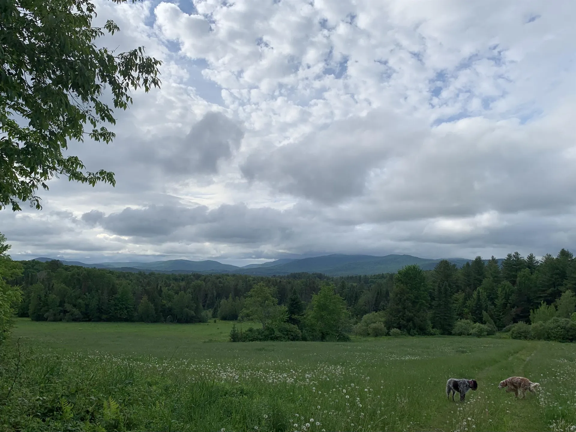 475 Webster Road Hyde Park VT 05655