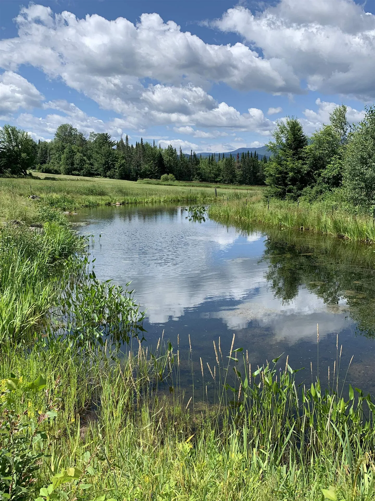 475 Webster Road Hyde Park VT 05655