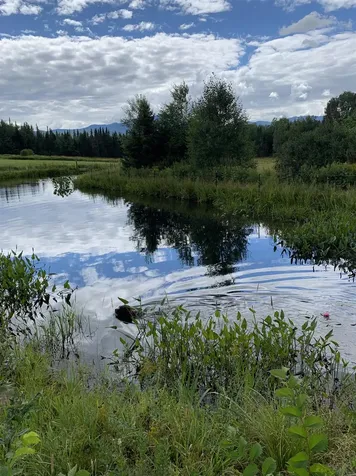 475 Webster Road Hyde Park VT 05655