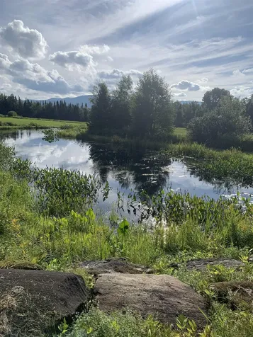 475 Webster Road Hyde Park VT 05655