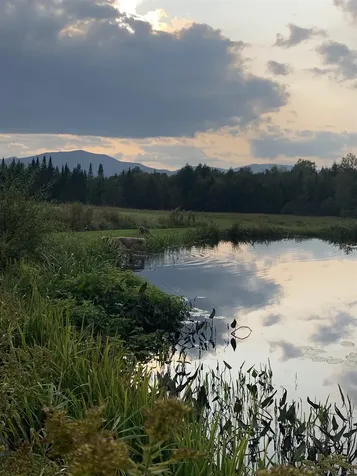 475 Webster Road Hyde Park VT 05655