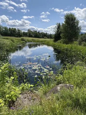 475 Webster Road Hyde Park VT 05655