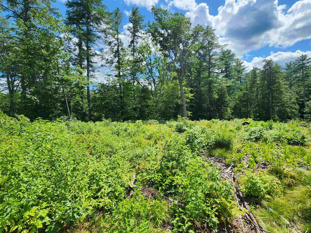 00 Wales Bridge Road Loudon NH 03307