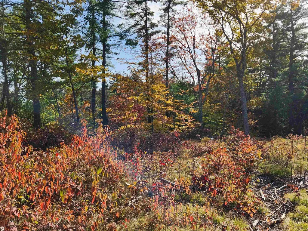 00 Wales Bridge Road Loudon NH 03307