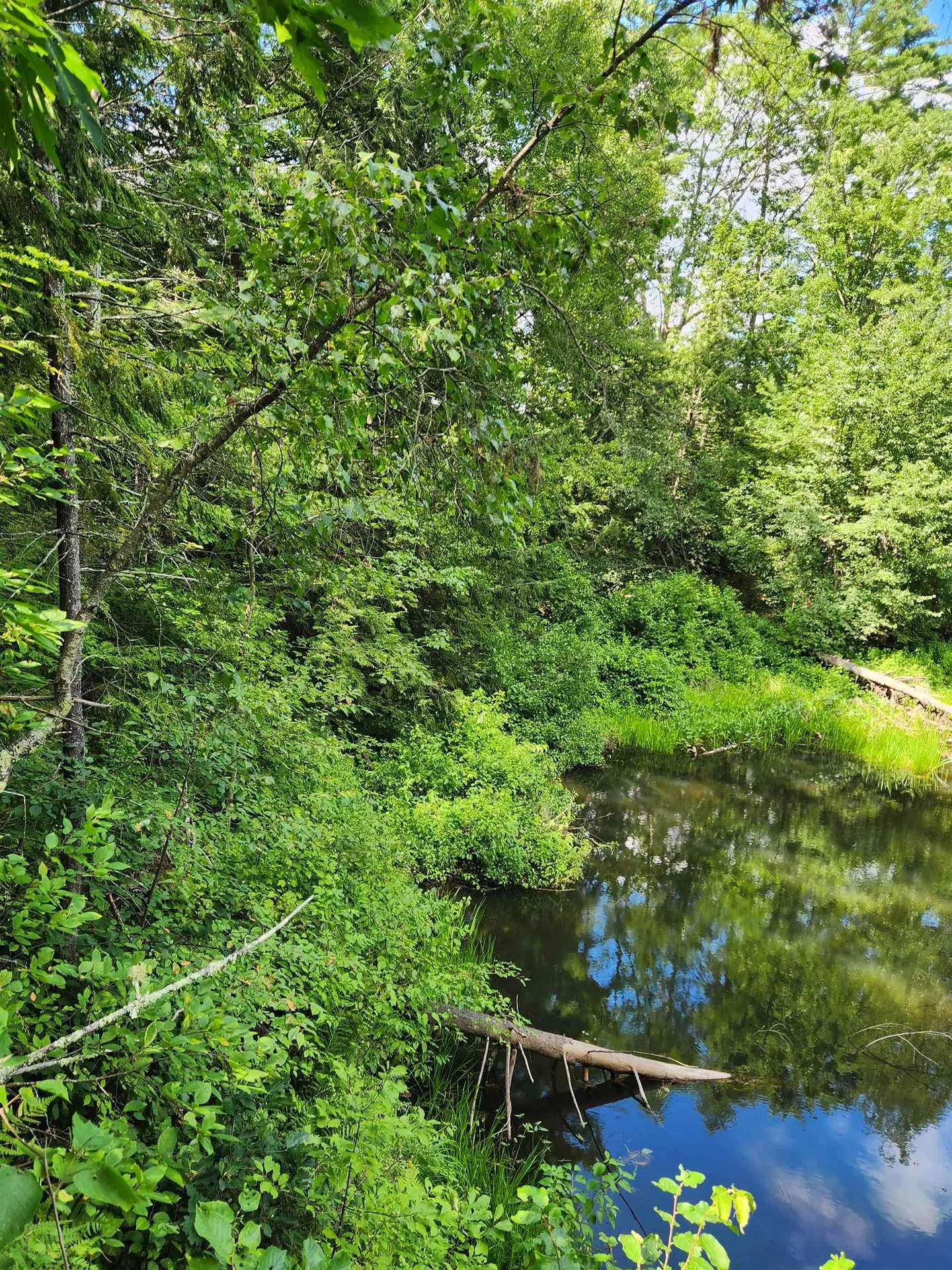 00 Wales Bridge Road Loudon NH 03307