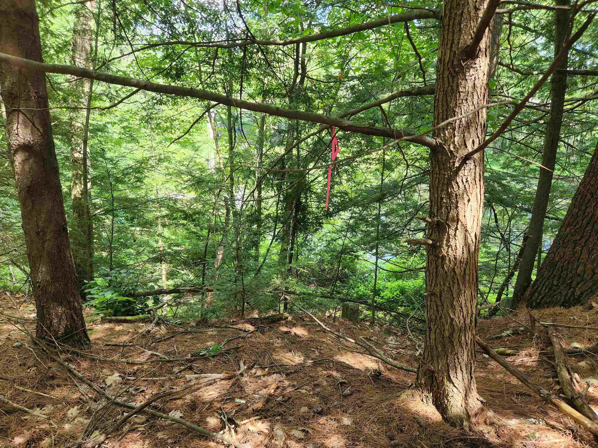 00 Wales Bridge Road Loudon NH 03307