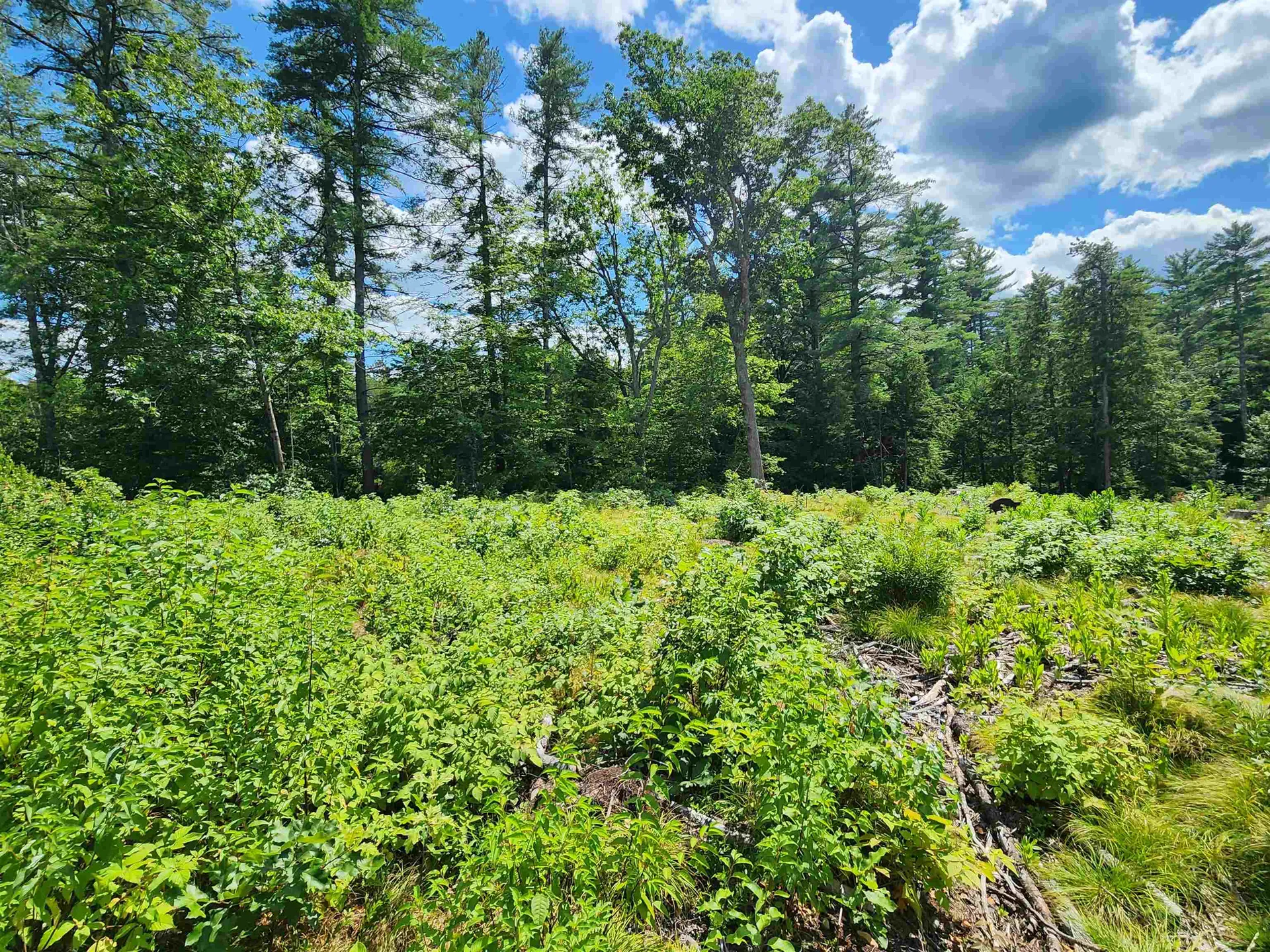 00 Wales Bridge Road Loudon NH 03307