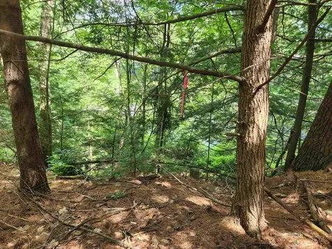 00 Wales Bridge Road Loudon NH 03307