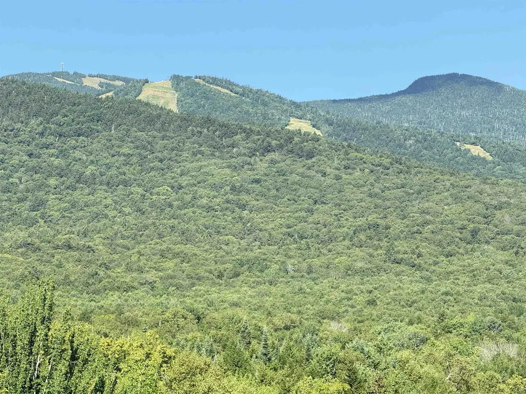 11 Moose Way Waterville Valley NH 03215