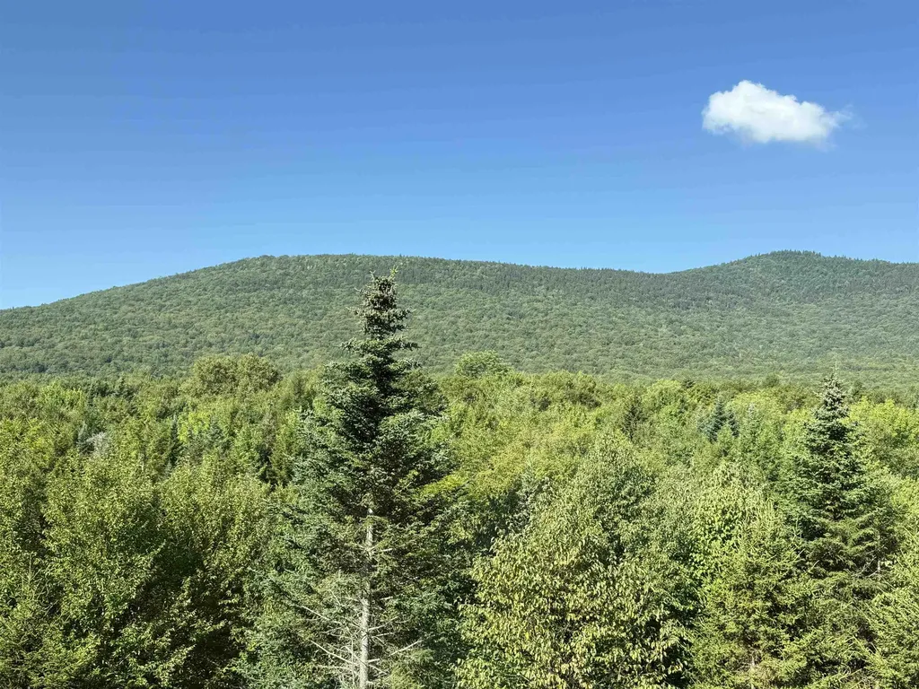 11 Moose Way Waterville Valley NH 03215