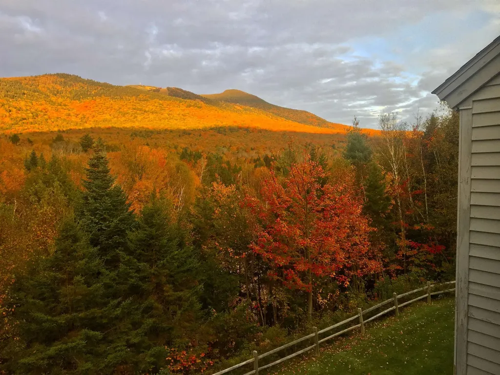 11 Moose Way Waterville Valley NH 03215