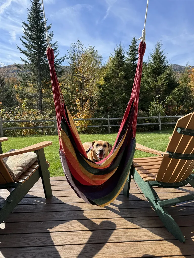 11 Moose Way Waterville Valley NH 03215