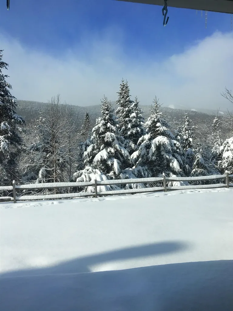 11 Moose Way Waterville Valley NH 03215