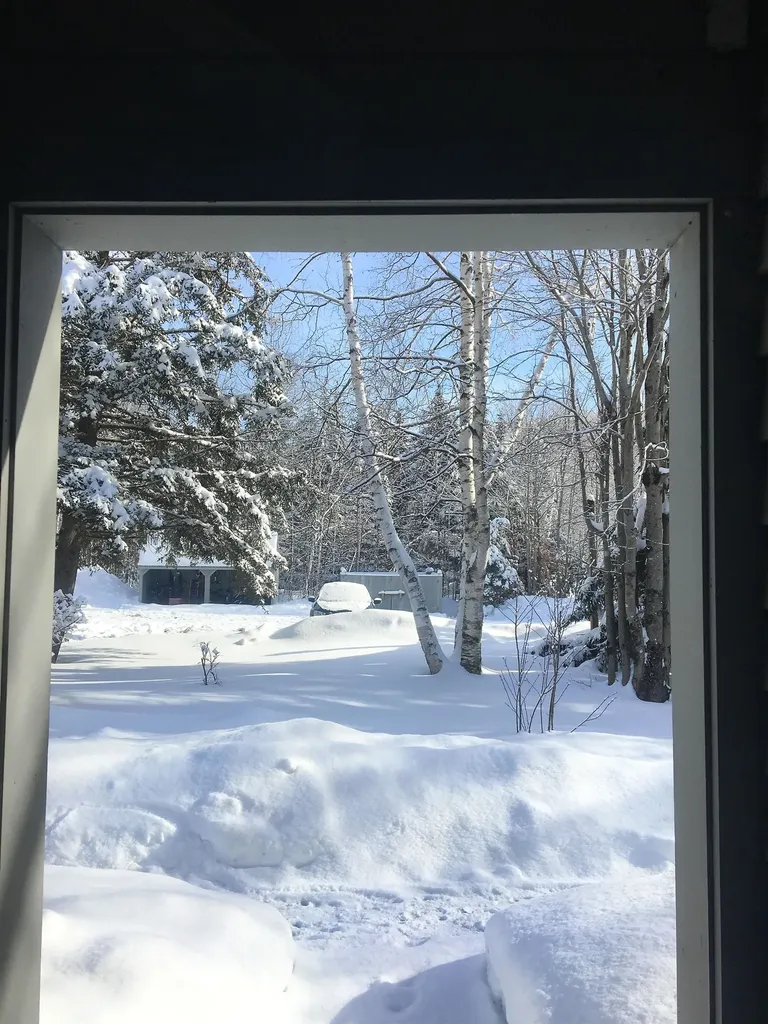 11 Moose Way Waterville Valley NH 03215