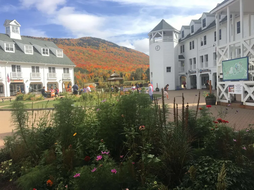 11 Moose Way Waterville Valley NH 03215