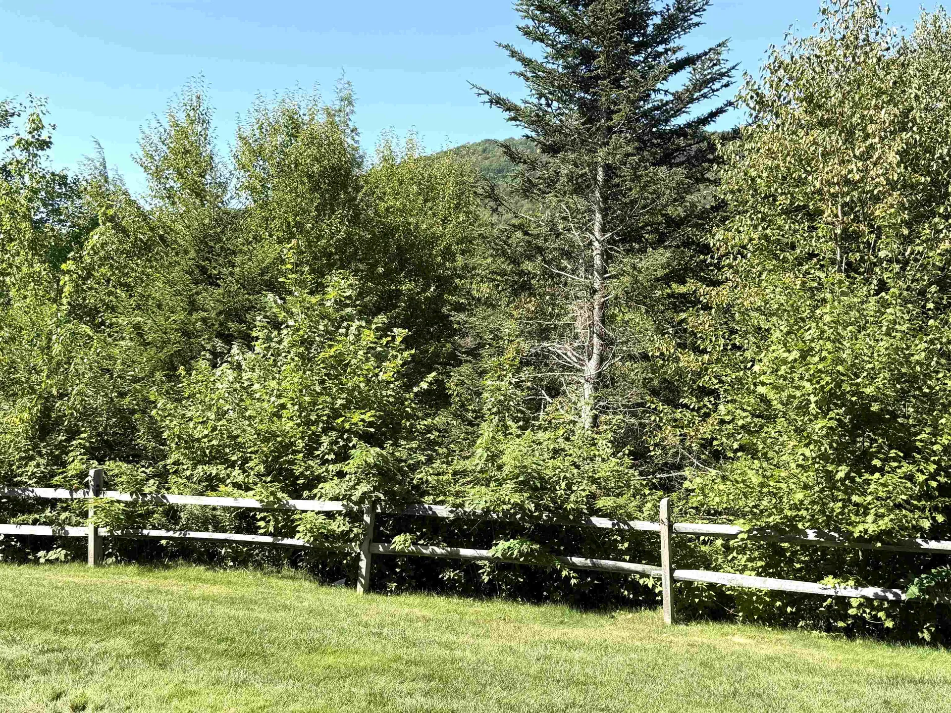 11 Moose Way Waterville Valley NH 03215