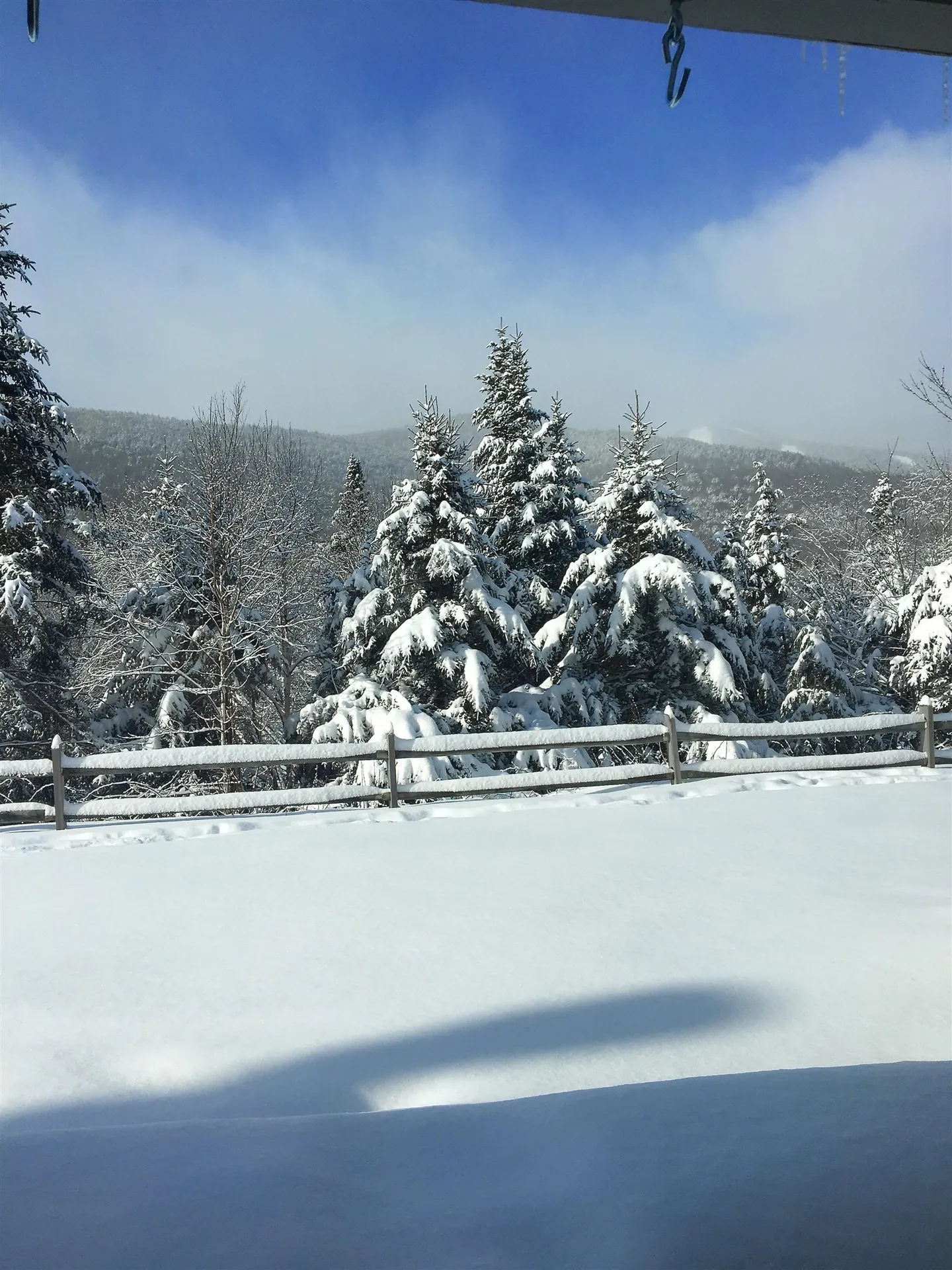 11 Moose Way Waterville Valley NH 03215