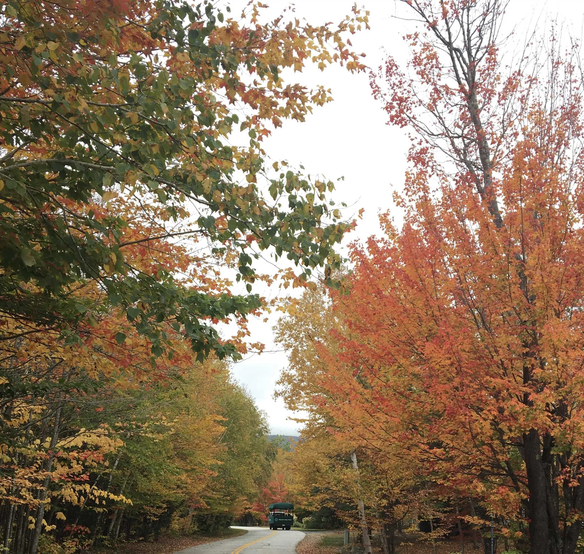 11 Moose Way Waterville Valley NH 03215