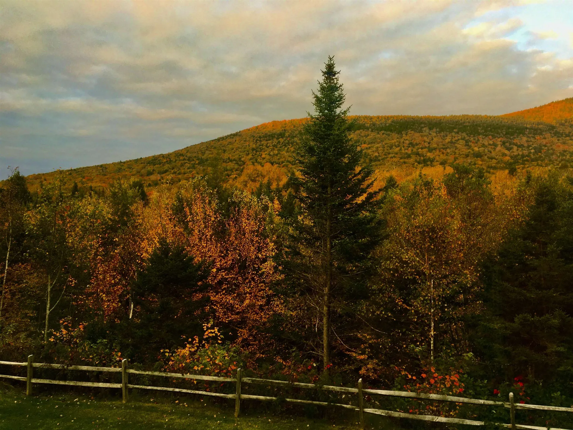 11 Moose Way Waterville Valley NH 03215