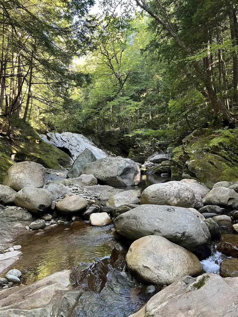 3084 Vt Route 125 Hancock VT 05748