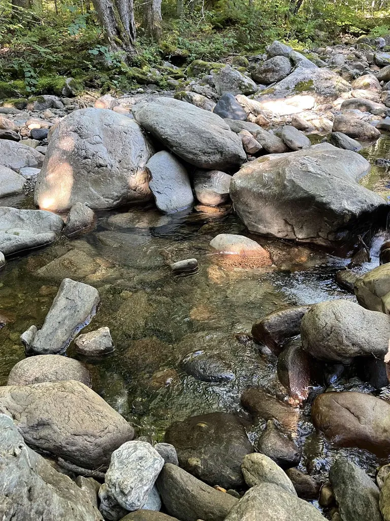 3084 Vt Route 125 Hancock VT 05748