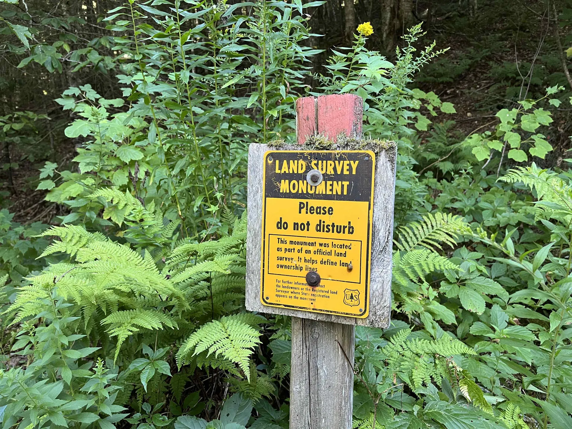 3084 Vt Route 125 Hancock VT 05748