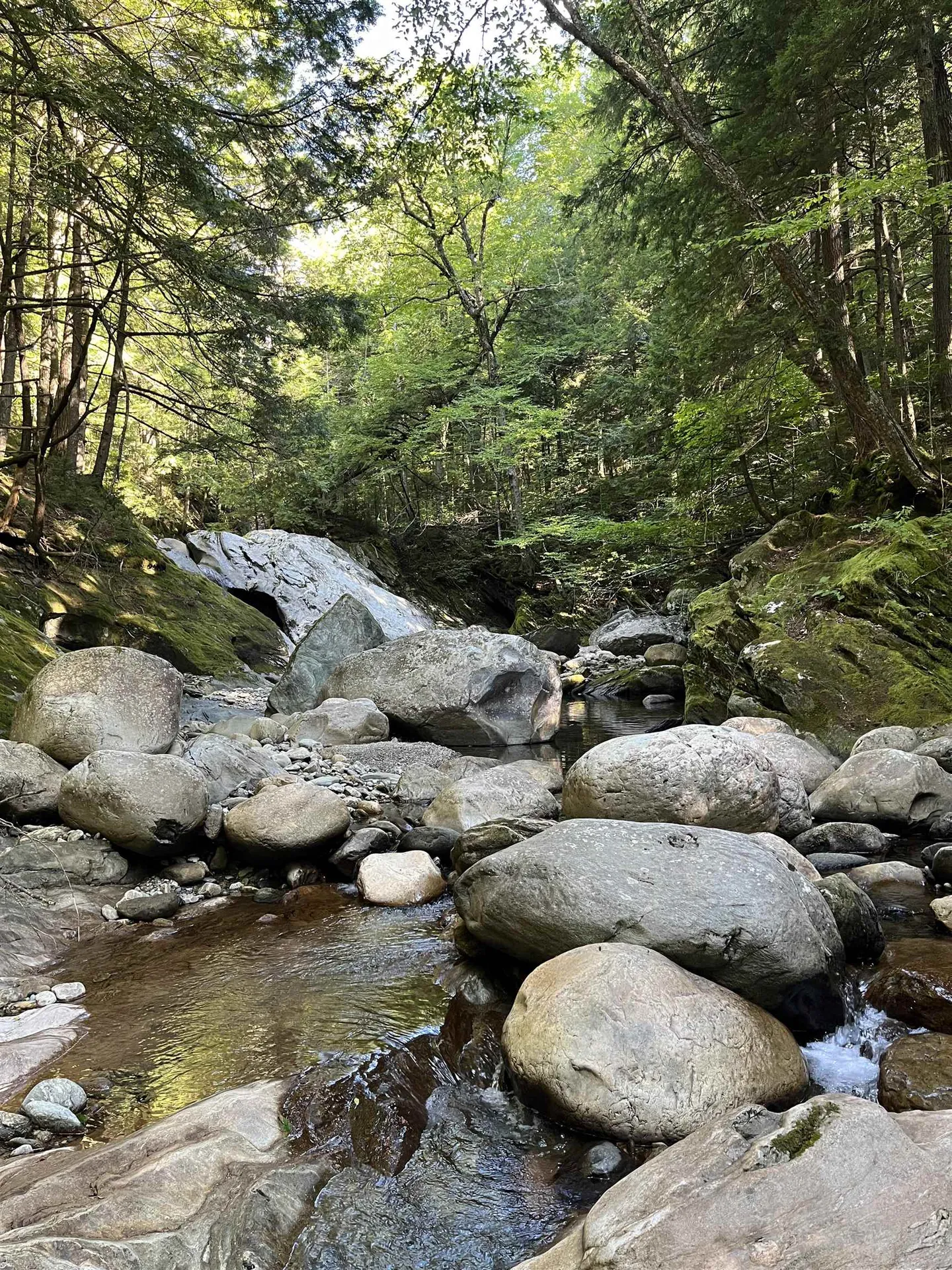 3084 Vt Route 125 Hancock VT 05748