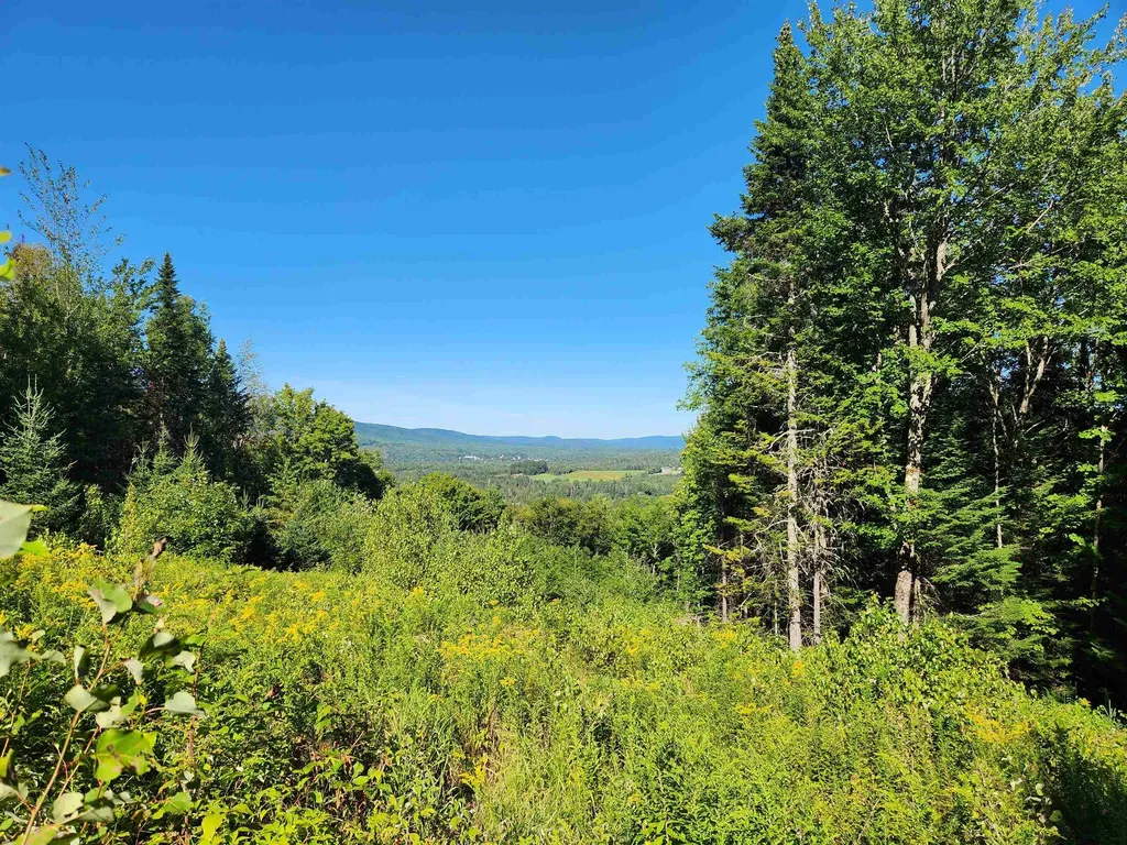 810 Rosebrook Hill Road Brighton VT 05846