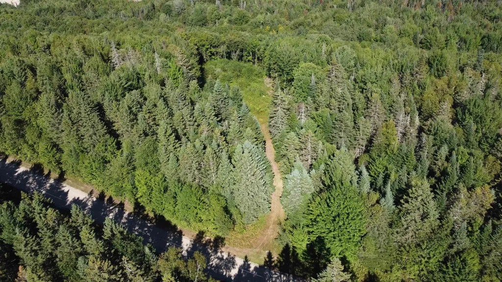 810 Rosebrook Hill Road Brighton VT 05846