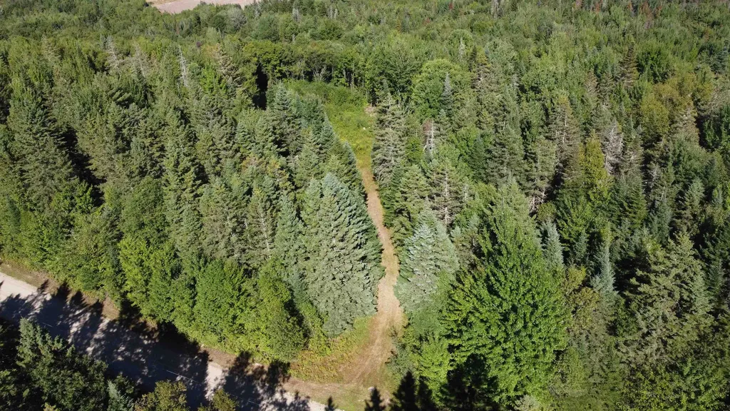 810 Rosebrook Hill Road Brighton VT 05846