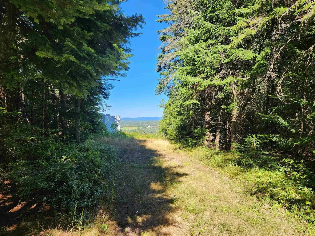 810 Rosebrook Hill Road Brighton VT 05846