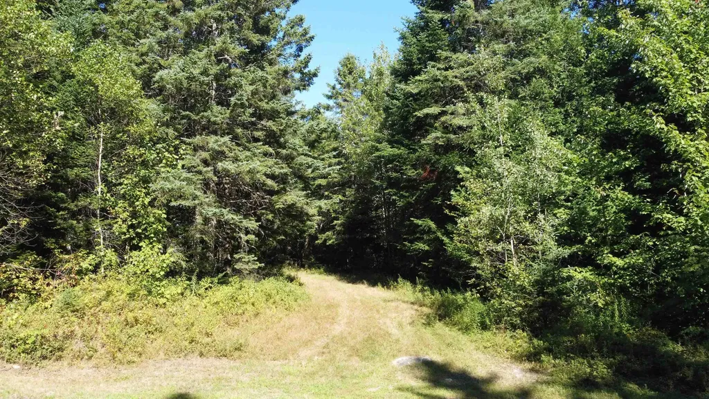 810 Rosebrook Hill Road Brighton VT 05846