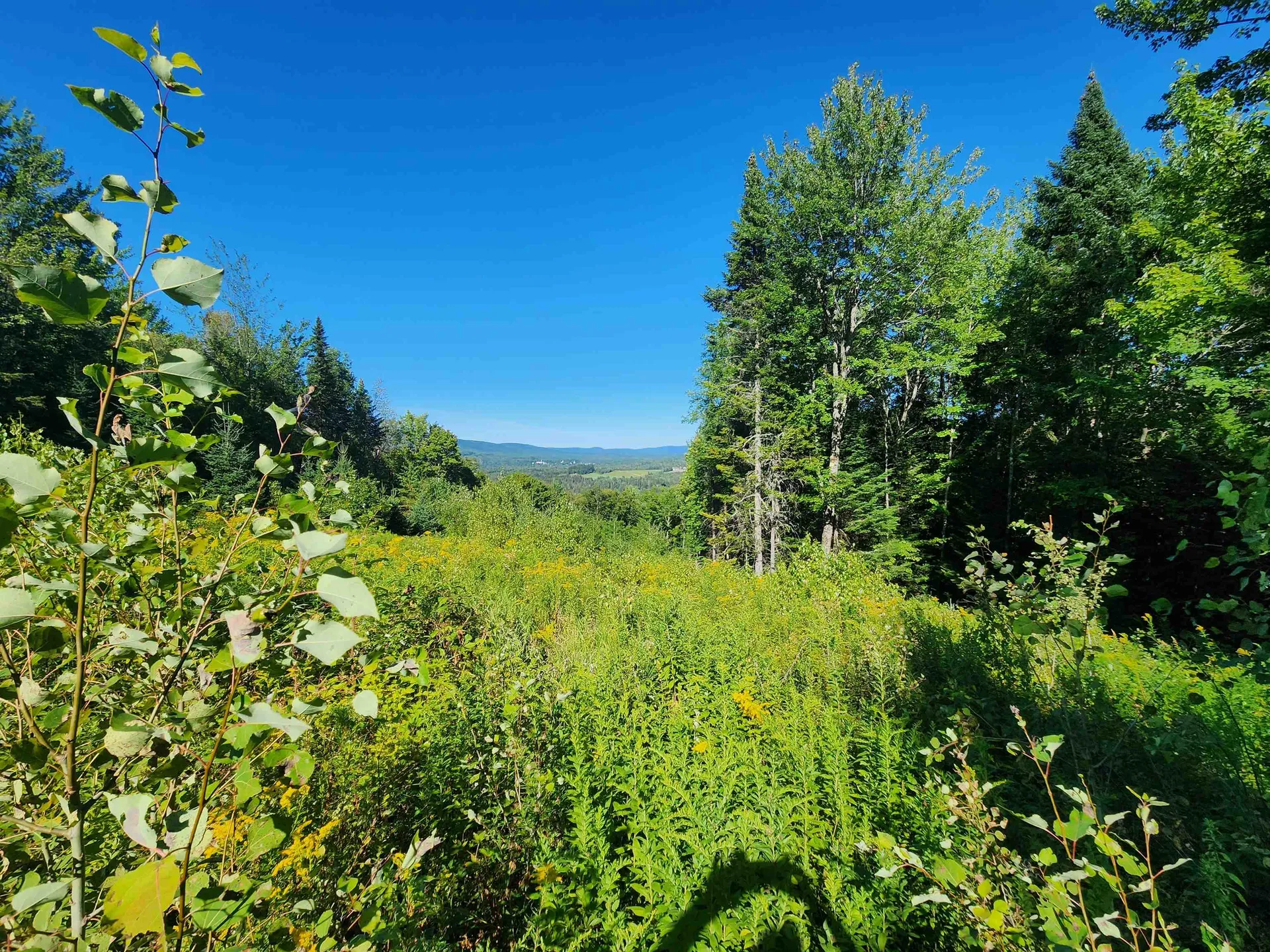 810 Rosebrook Hill Road Brighton VT 05846