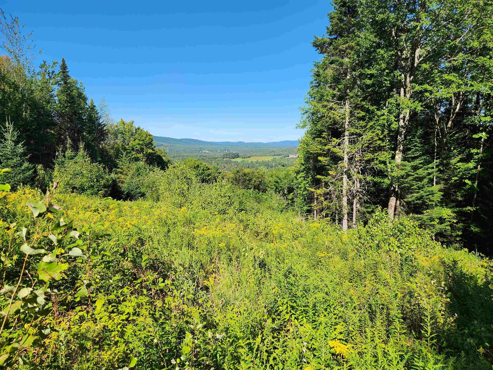 810 Rosebrook Hill Road Brighton VT 05846