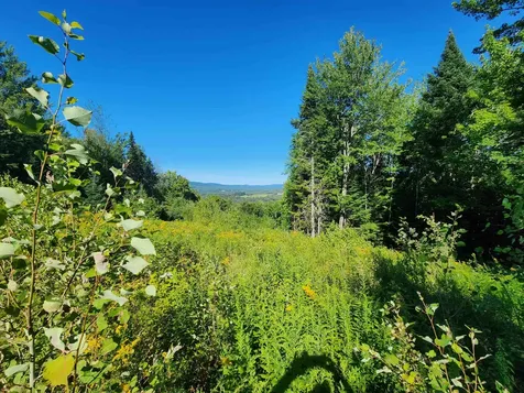 810 Rosebrook Hill Road Brighton VT 05846