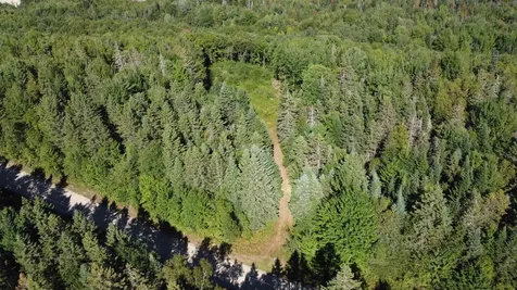 810 Rosebrook Hill Road Brighton VT 05846