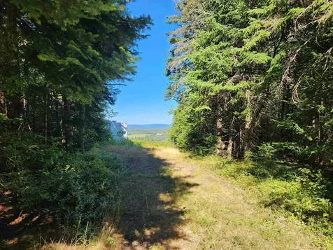 810 Rosebrook Hill Road Brighton VT 05846