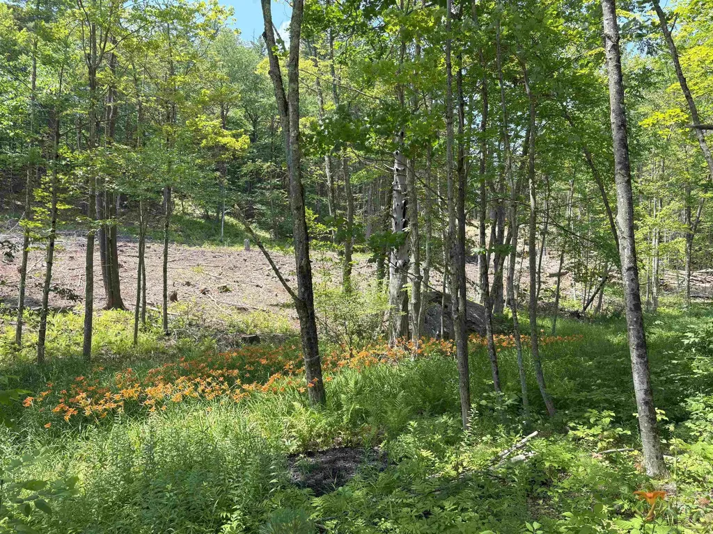 000 Province Road Gilmanton NH 03237