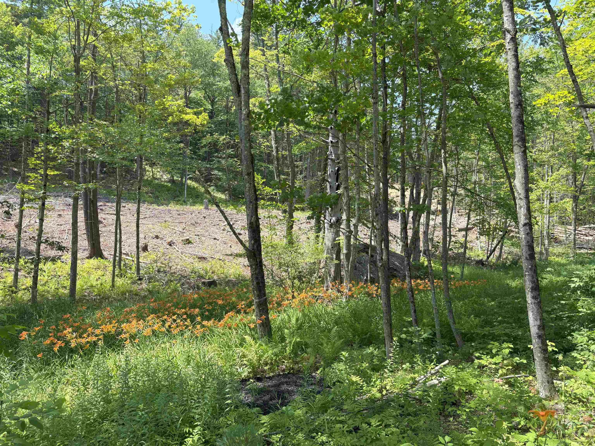 000 Province Road Gilmanton NH 03237