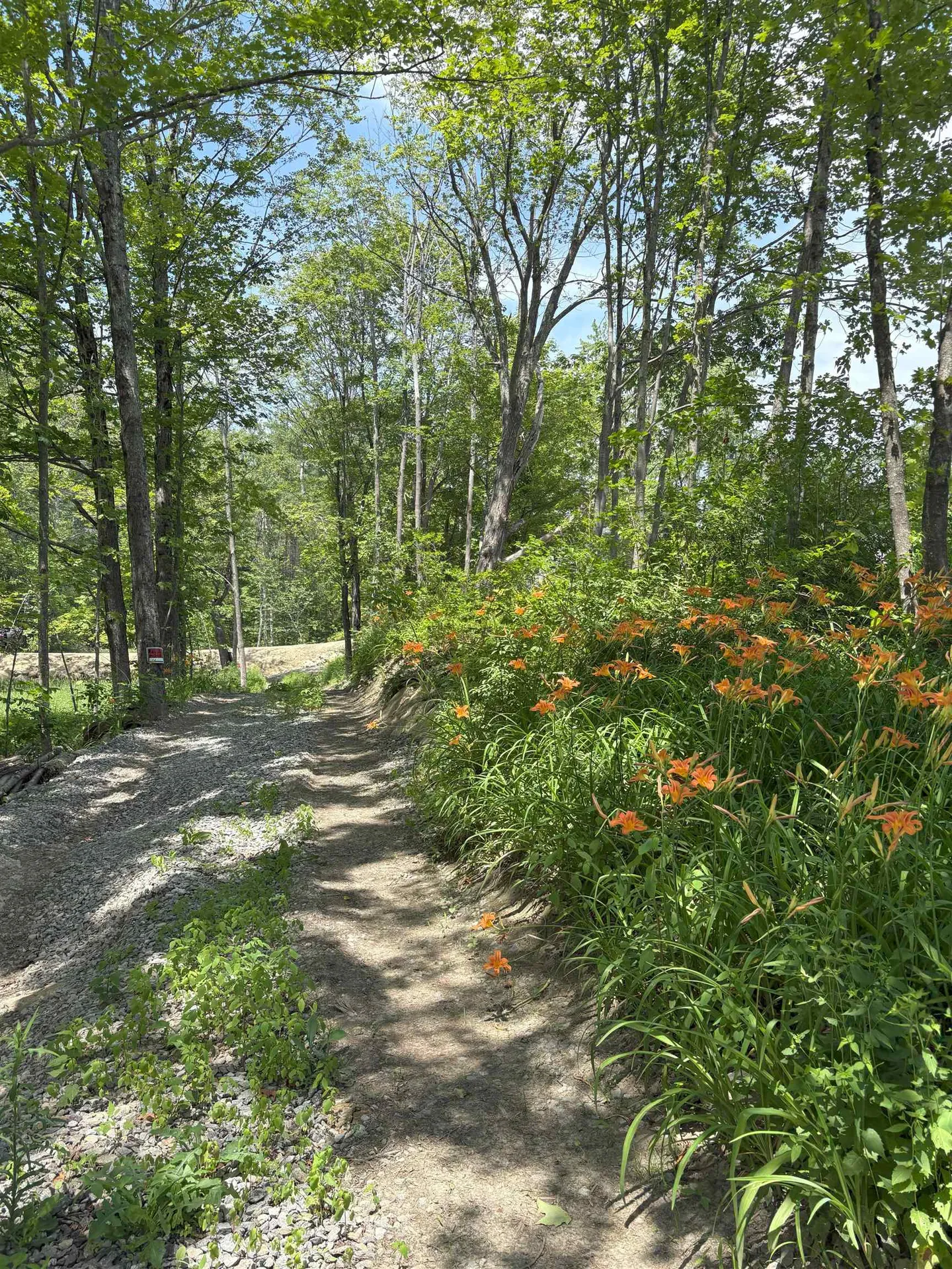 000 Province Road Gilmanton NH 03237